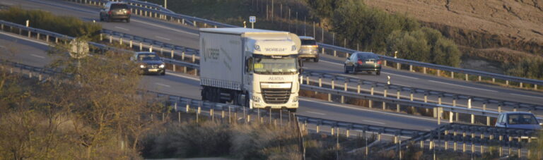 Perfiles de IMD de las autovías radiales españolas